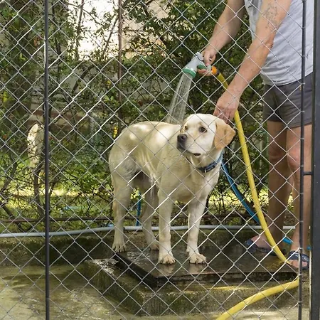 In With Terrace, Air Conditioning, W-lan, Washing Machine 4928-11 בית נופש פורץ