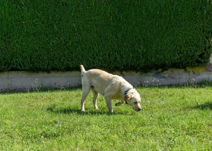 Feriehus In With Terrace, Air Conditioning, W-lan, Washing Machine 4928-11 Poreč