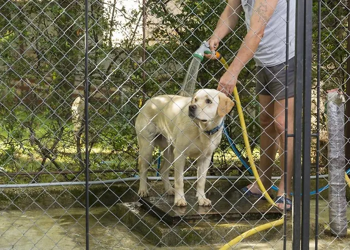 In With Terrace, Air Conditioning, W-lan, Washing Machine 4928-11 Casa vacanze Porec